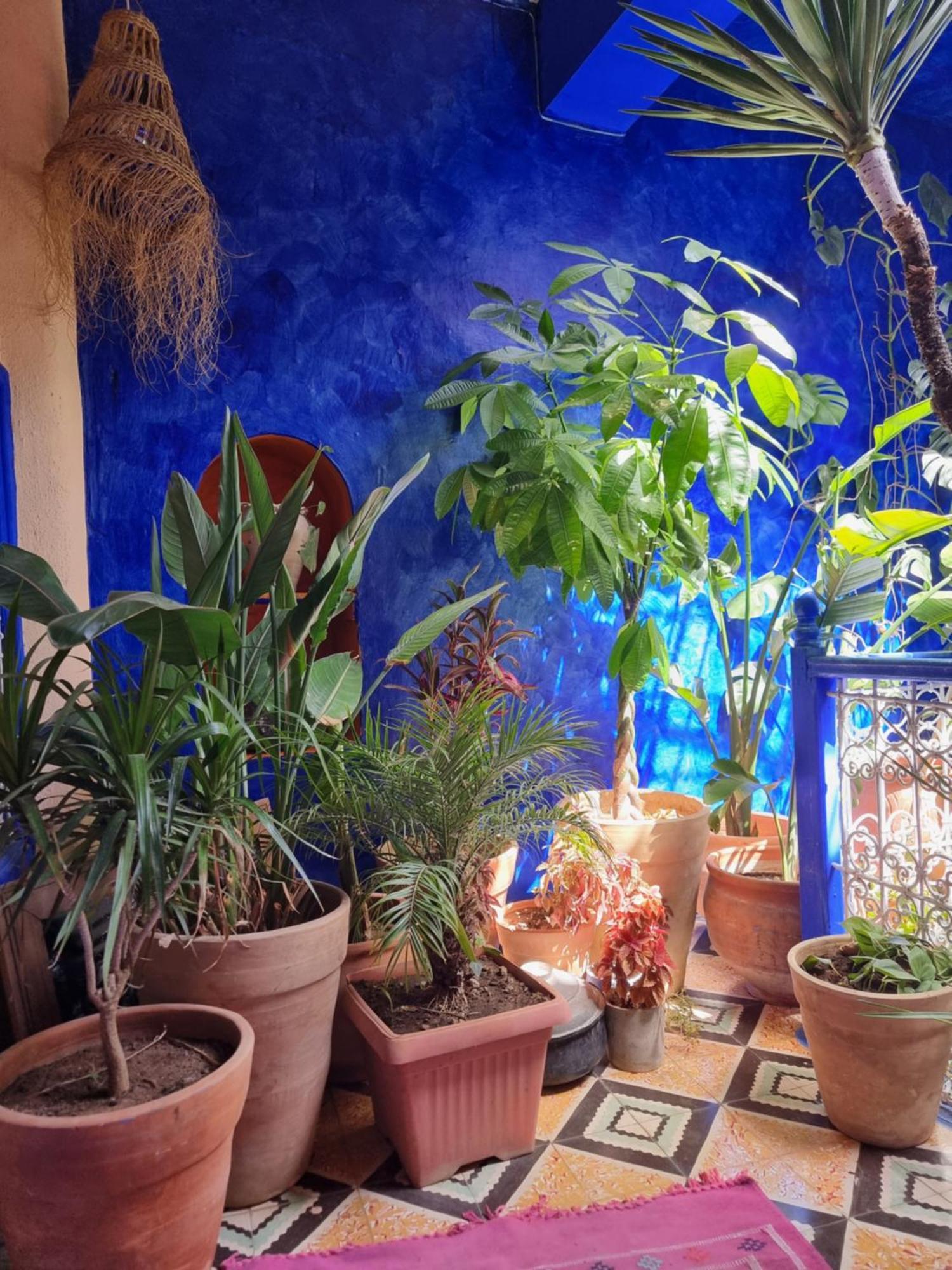 Hotel Casa Amina Szafszawan Zewnętrze zdjęcie